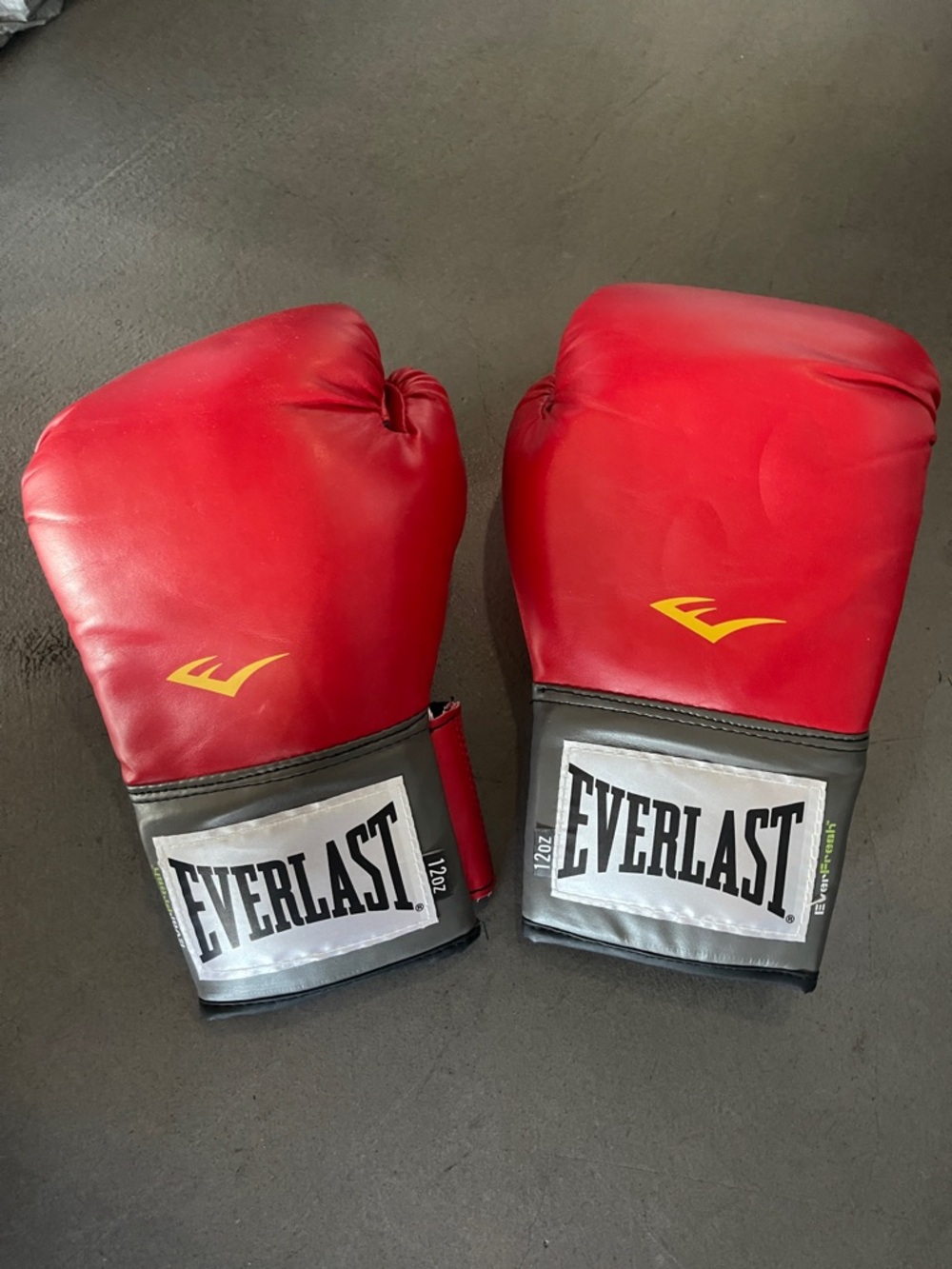 Everlast Red Training Boxing Gloves 12 Oz
